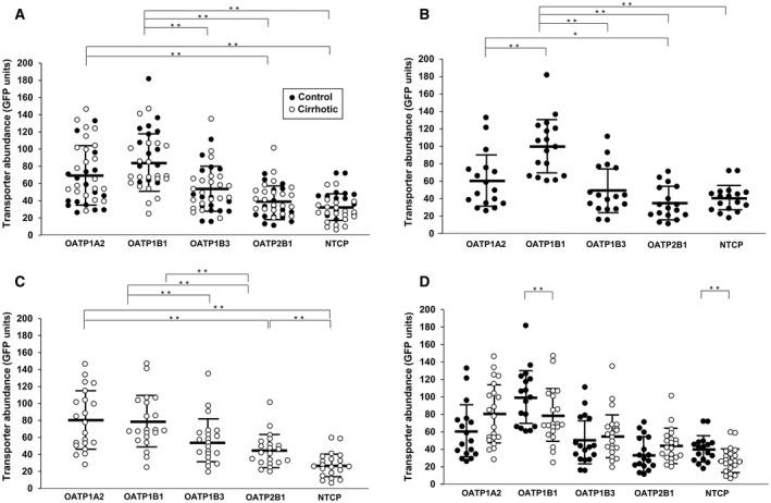 https://cdn.ncbi.nlm.nih.gov/pmc/blobs/f6f0/7193130/f045c5354cc7/HEP4-4-739-g004.jpg