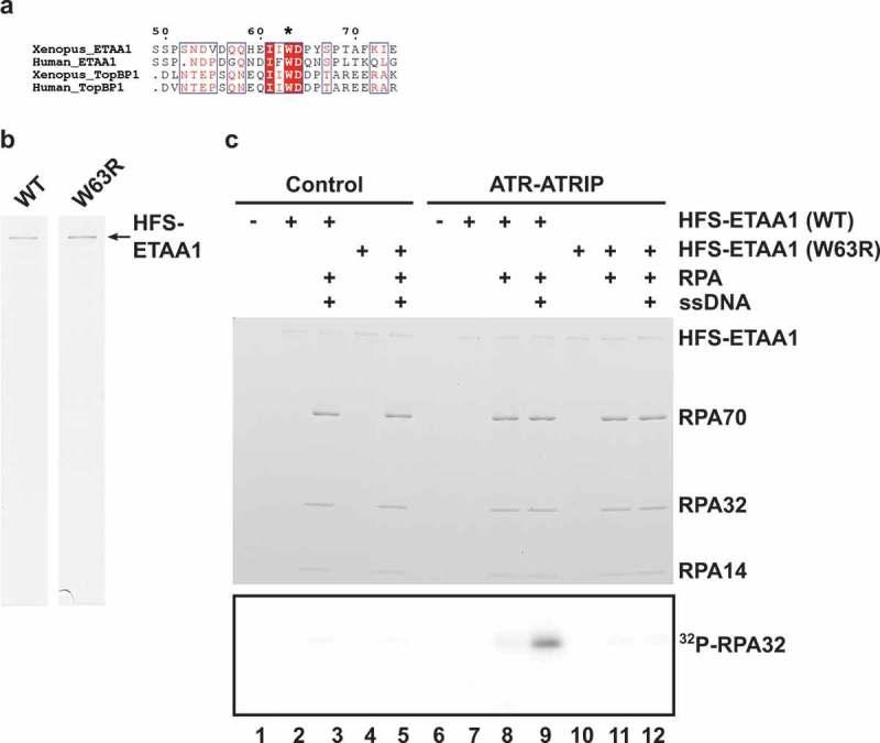 https://cdn.ncbi.nlm.nih.gov/pmc/blobs/f6f1/6527274/88dd4e00e299/kccy-18-08-1598728-g006.jpg