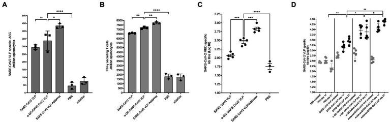 https://cdn.ncbi.nlm.nih.gov/pmc/blobs/f6f3/10282183/02e128008ccb/fmicb-14-1065609-g011.jpg