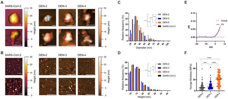 https://cdn.ncbi.nlm.nih.gov/pmc/blobs/f6f3/10282183/1cab6e4be75b/fmicb-14-1065609-g005.jpg