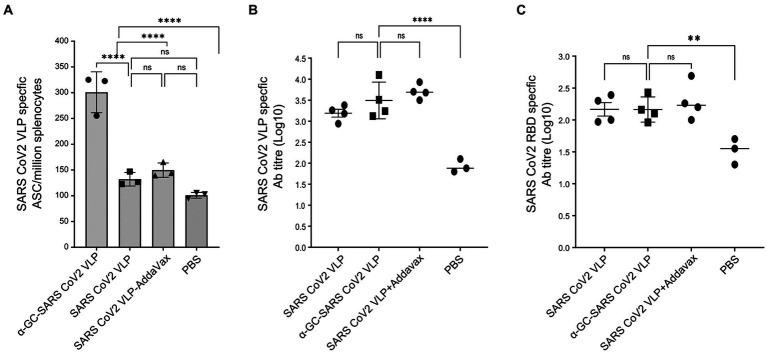 https://cdn.ncbi.nlm.nih.gov/pmc/blobs/f6f3/10282183/636c50a64a29/fmicb-14-1065609-g010.jpg