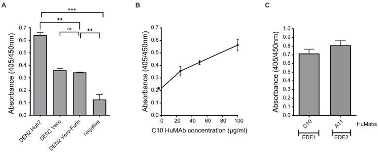 https://cdn.ncbi.nlm.nih.gov/pmc/blobs/f6f3/10282183/98971e9f4dee/fmicb-14-1065609-g004.jpg