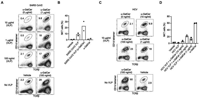 https://cdn.ncbi.nlm.nih.gov/pmc/blobs/f6f3/10282183/9911c9290659/fmicb-14-1065609-g007.jpg