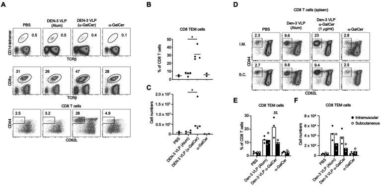 https://cdn.ncbi.nlm.nih.gov/pmc/blobs/f6f3/10282183/f094f60aa6b0/fmicb-14-1065609-g008.jpg