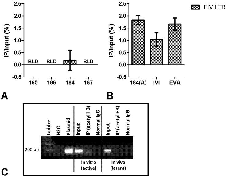 https://cdn.ncbi.nlm.nih.gov/pmc/blobs/f6f4/3386631/3f358fda2a85/viruses-04-00878-g003.jpg