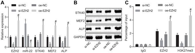https://cdn.ncbi.nlm.nih.gov/pmc/blobs/f6f5/7377840/03164eb5afd8/aging-12-103165-g006.jpg
