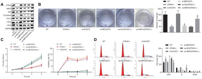https://cdn.ncbi.nlm.nih.gov/pmc/blobs/f6f5/7377840/bc1634ccca96/aging-12-103165-g002.jpg