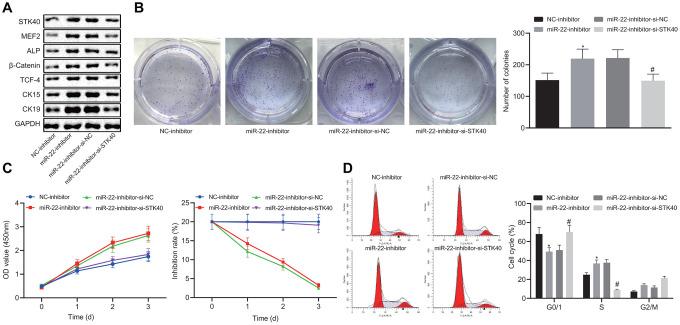 https://cdn.ncbi.nlm.nih.gov/pmc/blobs/f6f5/7377840/d5f8a0054c35/aging-12-103165-g005.jpg