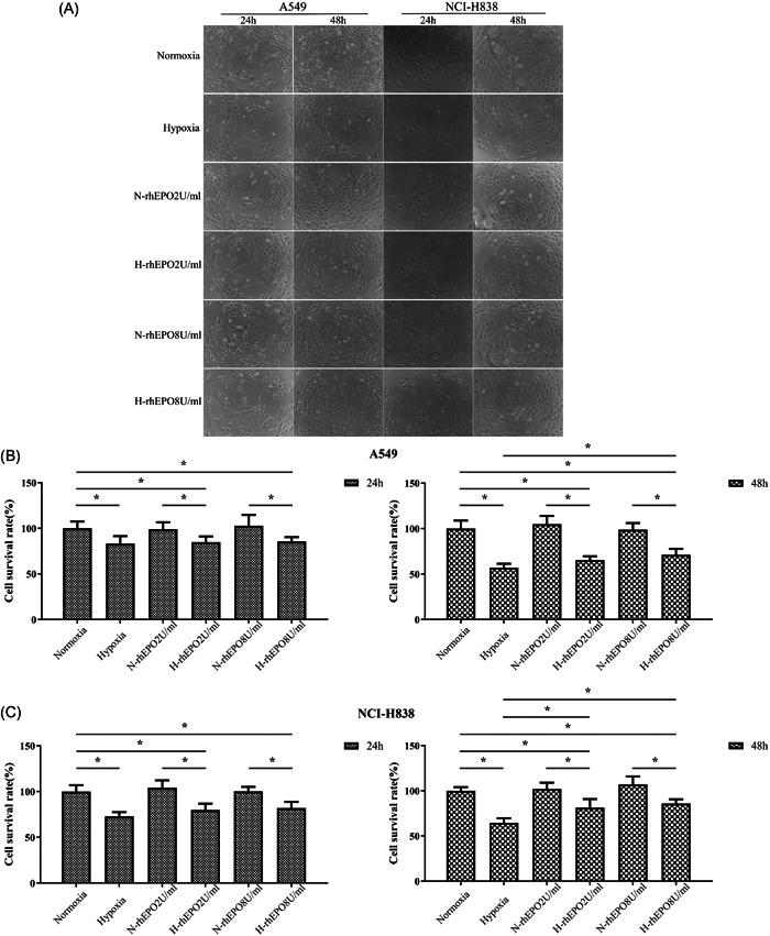 https://cdn.ncbi.nlm.nih.gov/pmc/blobs/f6f5/9215718/f4575fb0462f/CDT3-8-124-g001.jpg