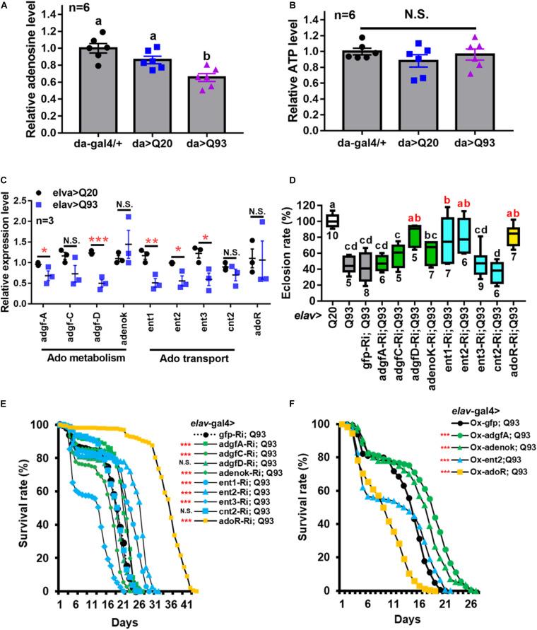 https://cdn.ncbi.nlm.nih.gov/pmc/blobs/f6f8/7994771/546bfae79a58/fcell-09-651367-g001.jpg