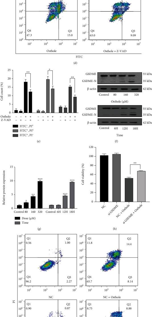 https://cdn.ncbi.nlm.nih.gov/pmc/blobs/f6f8/9200556/2fa4e98fdf1d/OMCL2022-8585598.002.jpg