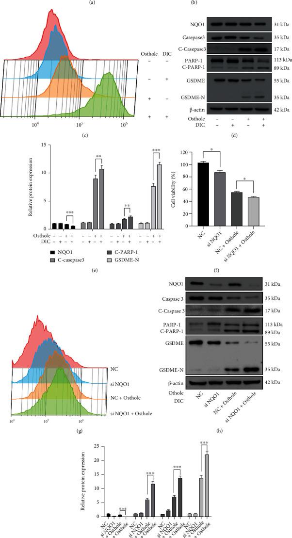 https://cdn.ncbi.nlm.nih.gov/pmc/blobs/f6f8/9200556/6bff9a807a1c/OMCL2022-8585598.006.jpg