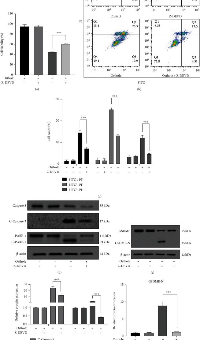 https://cdn.ncbi.nlm.nih.gov/pmc/blobs/f6f8/9200556/99ddbc400f6a/OMCL2022-8585598.003.jpg