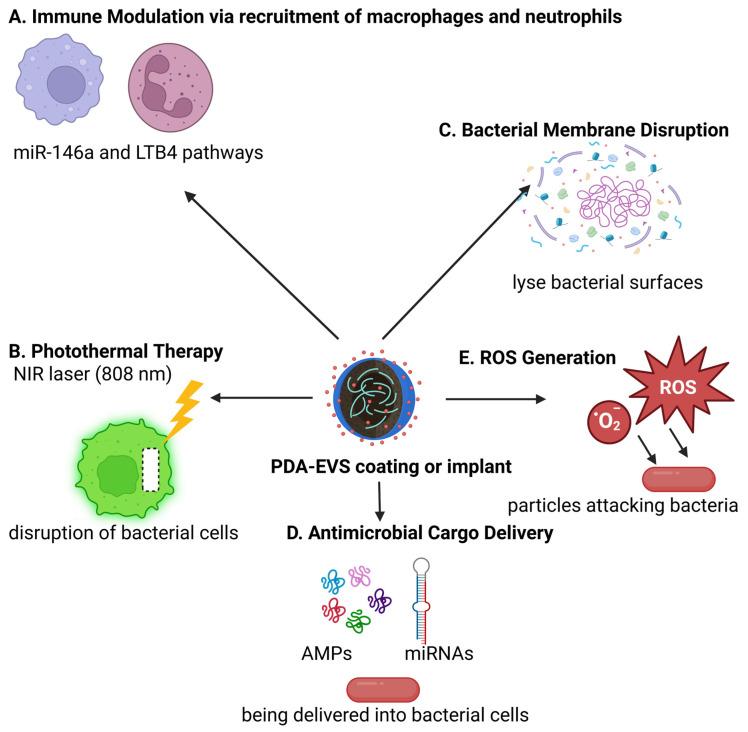 https://cdn.ncbi.nlm.nih.gov/pmc/blobs/f6f9/12197175/7cea52e9f934/polymers-17-01670-g004.jpg