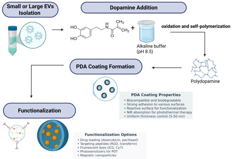 https://cdn.ncbi.nlm.nih.gov/pmc/blobs/f6f9/12197175/a9257e14a1b1/polymers-17-01670-g002.jpg