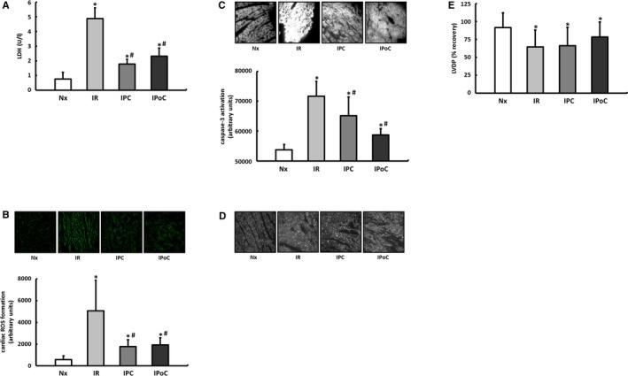 https://cdn.ncbi.nlm.nih.gov/pmc/blobs/f6f9/5779008/7635c7f0e6e2/JAH3-6-e006809-g002.jpg