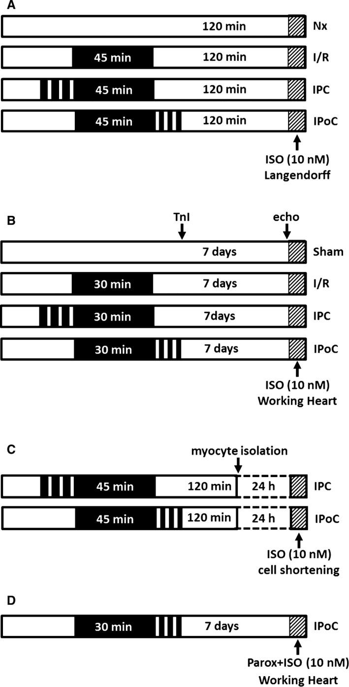 https://cdn.ncbi.nlm.nih.gov/pmc/blobs/f6f9/5779008/d64f6838378f/JAH3-6-e006809-g001.jpg
