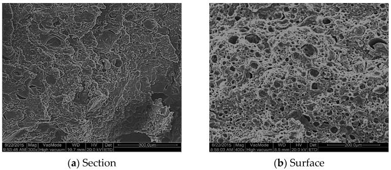 https://cdn.ncbi.nlm.nih.gov/pmc/blobs/f6f9/8269687/965cb431b44f/materials-14-03599-g014.jpg