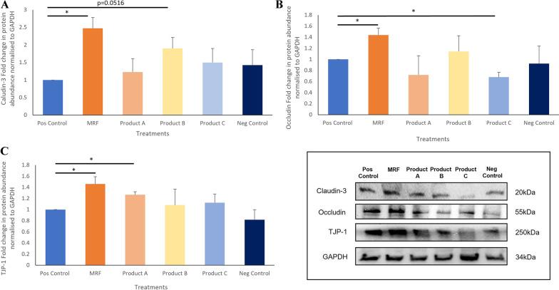 https://cdn.ncbi.nlm.nih.gov/pmc/blobs/f6fa/10111678/7b4022d8ad03/40813_2023_312_Fig6_HTML.jpg