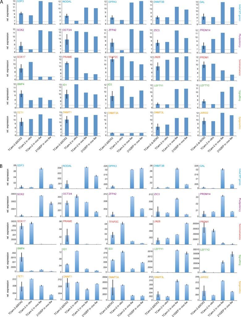 https://cdn.ncbi.nlm.nih.gov/pmc/blobs/f6fd/5216926/4ed783d4124a/oncotarget-07-47095-g002.jpg