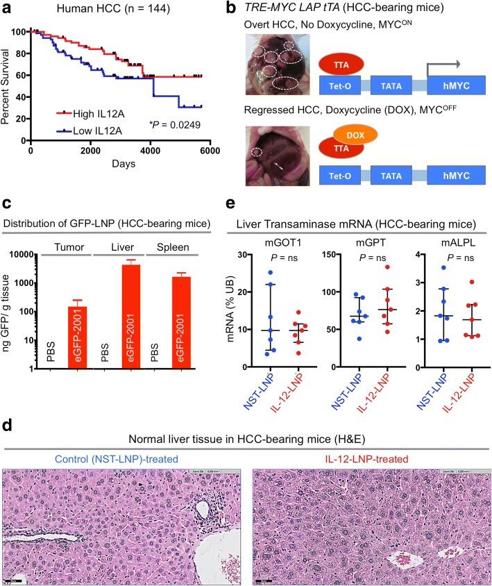 https://cdn.ncbi.nlm.nih.gov/pmc/blobs/f6fd/6247677/d4030328fac7/40425_2018_431_Fig1_HTML.jpg