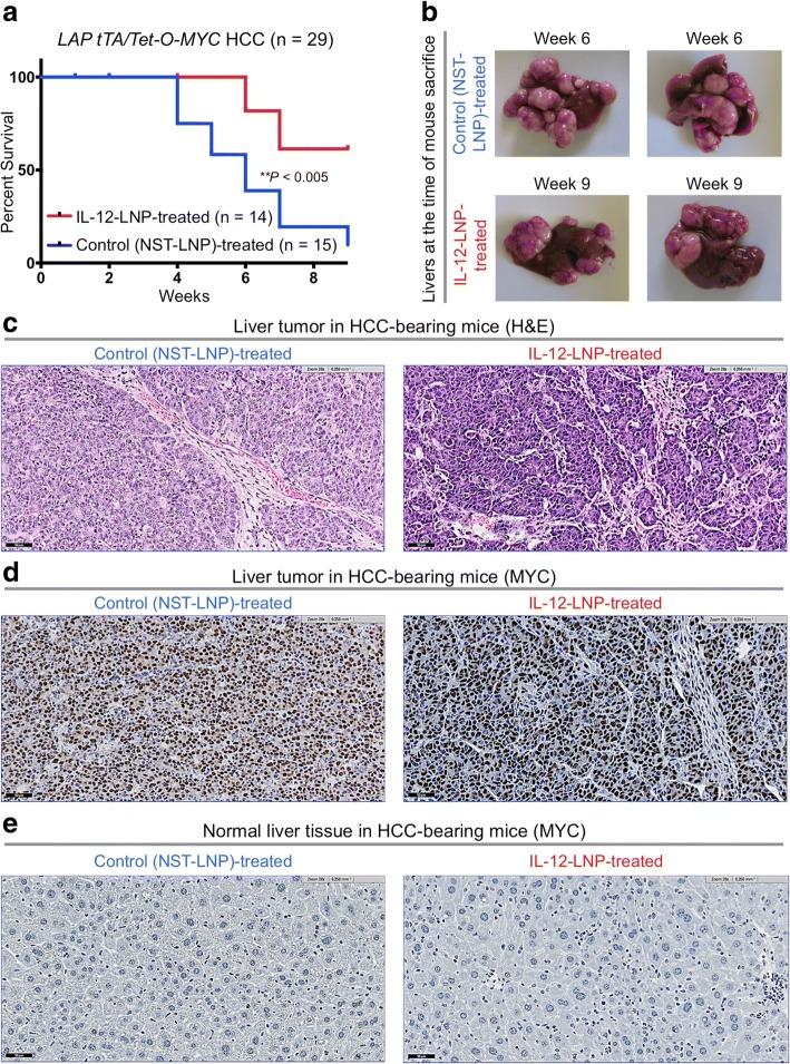 https://cdn.ncbi.nlm.nih.gov/pmc/blobs/f6fd/6247677/f320ca200478/40425_2018_431_Fig3_HTML.jpg
