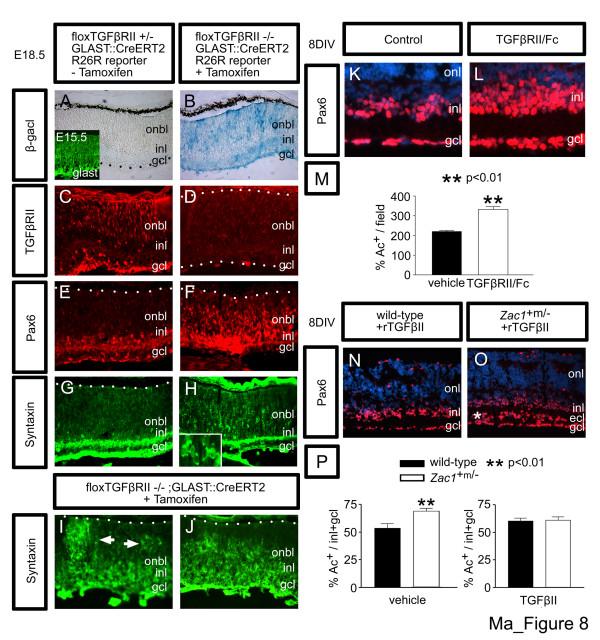 https://cdn.ncbi.nlm.nih.gov/pmc/blobs/f700/1913510/4f0f40bd04e4/1749-8104-2-11-8.jpg