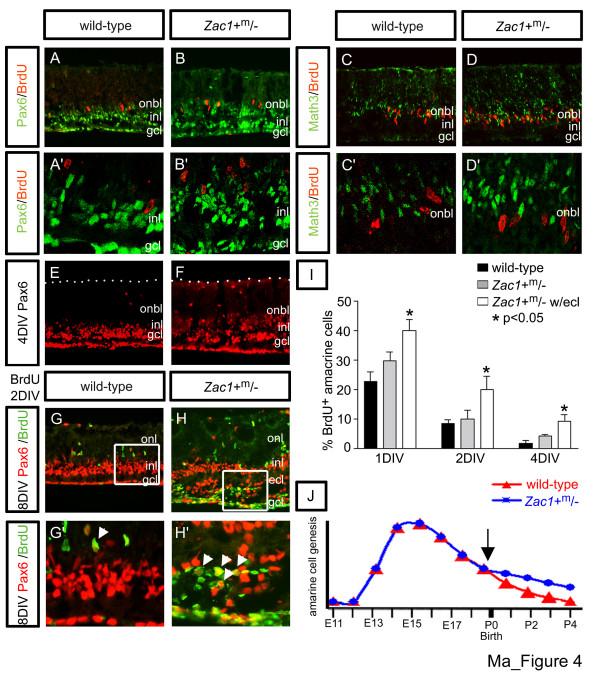 https://cdn.ncbi.nlm.nih.gov/pmc/blobs/f700/1913510/57c83b170b6a/1749-8104-2-11-4.jpg