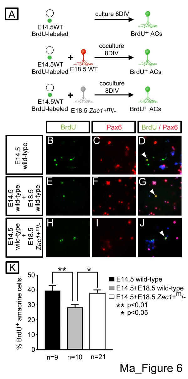 https://cdn.ncbi.nlm.nih.gov/pmc/blobs/f700/1913510/850e8dbbc0fb/1749-8104-2-11-6.jpg