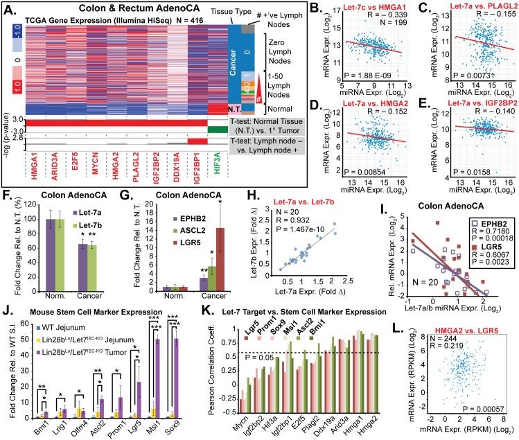 https://cdn.ncbi.nlm.nih.gov/pmc/blobs/f700/4526516/72cd3f141dfd/pgen.1005408.g005.jpg