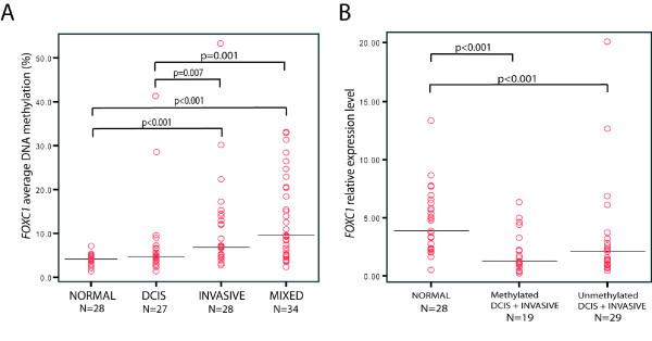 https://cdn.ncbi.nlm.nih.gov/pmc/blobs/f702/2880421/c5b8004744c5/bcr2466-3.jpg