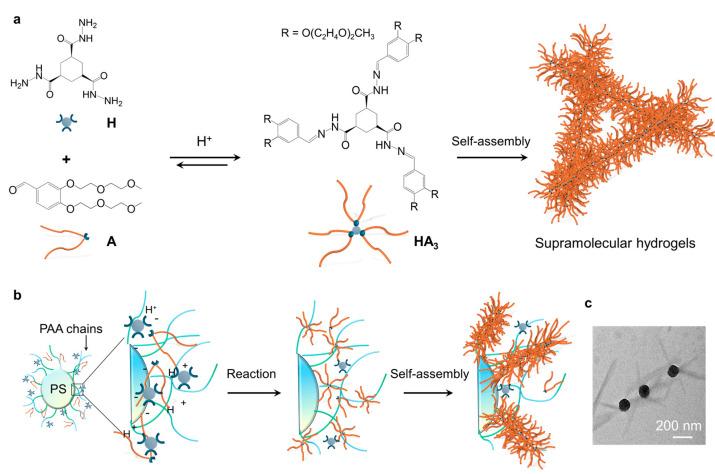 https://cdn.ncbi.nlm.nih.gov/pmc/blobs/f705/12026908/b6b8c798c8bf/gels-11-00289-g001.jpg