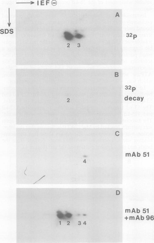 https://cdn.ncbi.nlm.nih.gov/pmc/blobs/f706/557848/92a4874728ac/emboj00317-0220-a.jpg