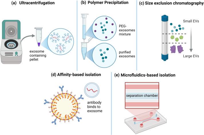 https://cdn.ncbi.nlm.nih.gov/pmc/blobs/f707/12170317/c3974afebcc7/fonc-15-1592006-g003.jpg