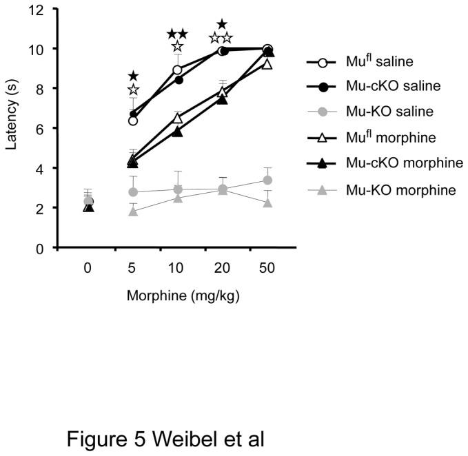 https://cdn.ncbi.nlm.nih.gov/pmc/blobs/f707/3771900/5fbd599c5bff/pone.0074706.g005.jpg