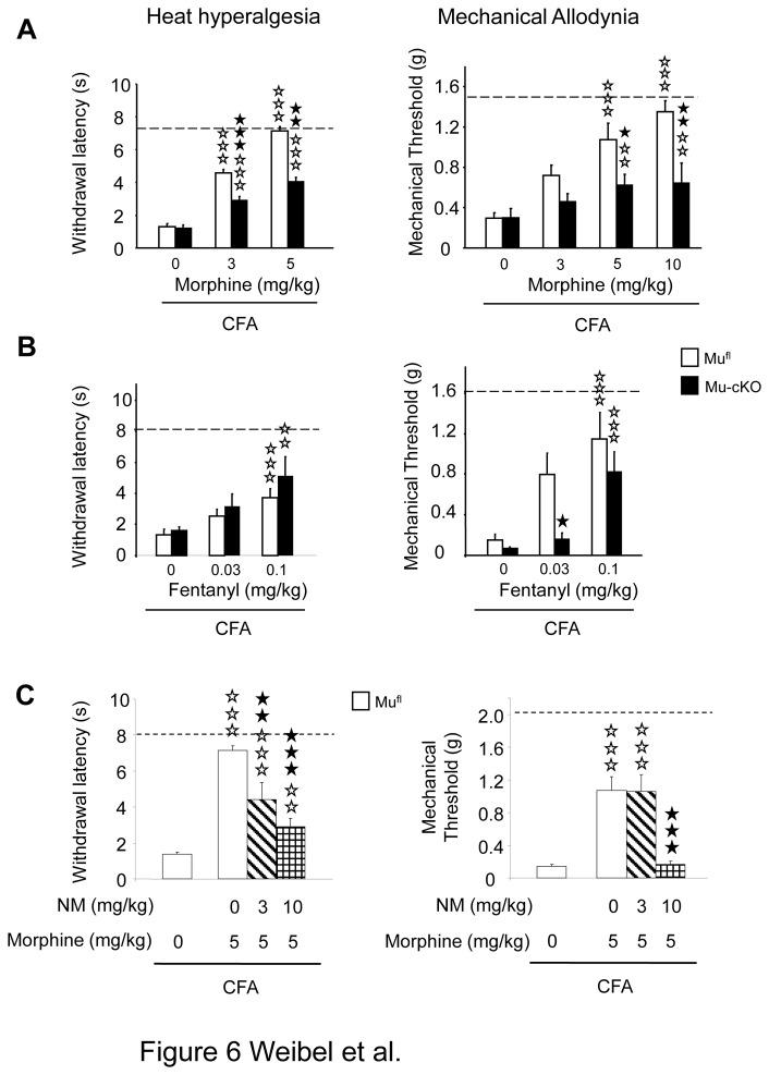 https://cdn.ncbi.nlm.nih.gov/pmc/blobs/f707/3771900/78b97e0f7bf3/pone.0074706.g006.jpg