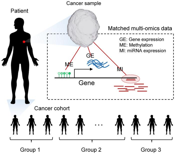 https://cdn.ncbi.nlm.nih.gov/pmc/blobs/f708/10019735/f4a14cd515ee/pone.0278272.g001.jpg