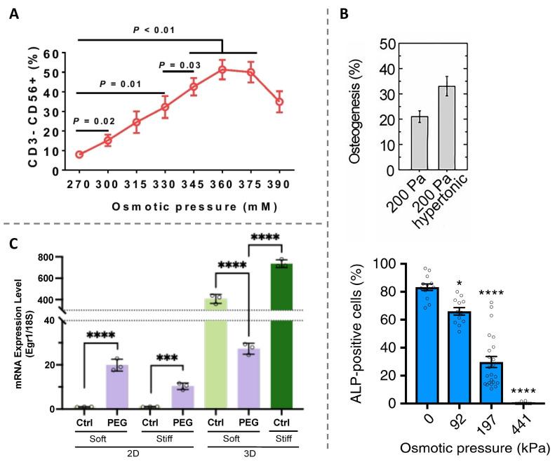 https://cdn.ncbi.nlm.nih.gov/pmc/blobs/f708/10970305/8695ed947195/ijms-25-03310-g002.jpg