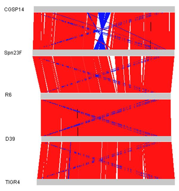https://cdn.ncbi.nlm.nih.gov/pmc/blobs/f708/2678160/fffefdc1e0aa/1471-2164-10-158-2.jpg