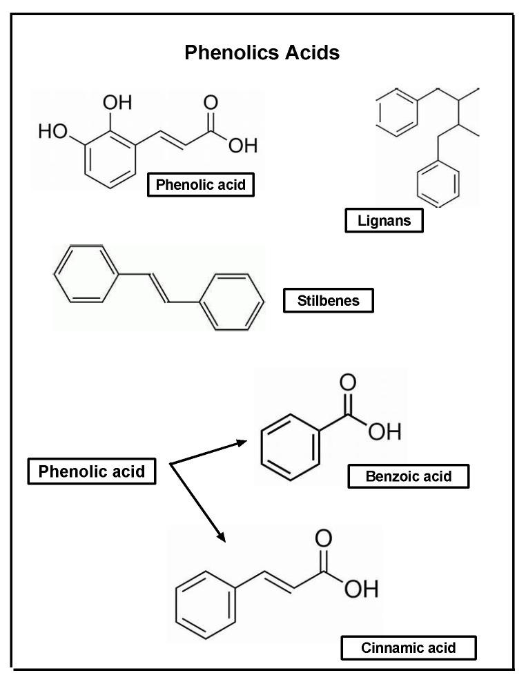 https://cdn.ncbi.nlm.nih.gov/pmc/blobs/f709/10975678/f71eb2722e8a/pharmaceuticals-17-00303-g004.jpg