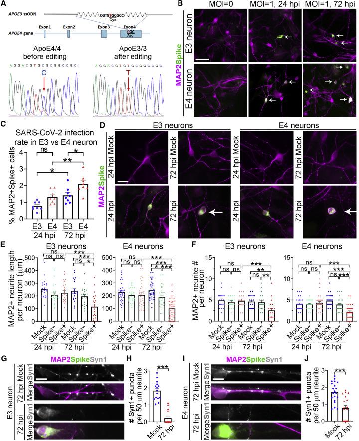 https://cdn.ncbi.nlm.nih.gov/pmc/blobs/f709/7832490/19d273210f20/gr2_lrg.jpg