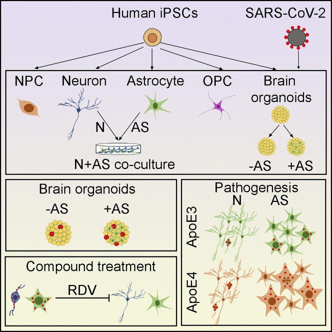 https://cdn.ncbi.nlm.nih.gov/pmc/blobs/f709/7832490/78941882d0d6/fx1_lrg.jpg