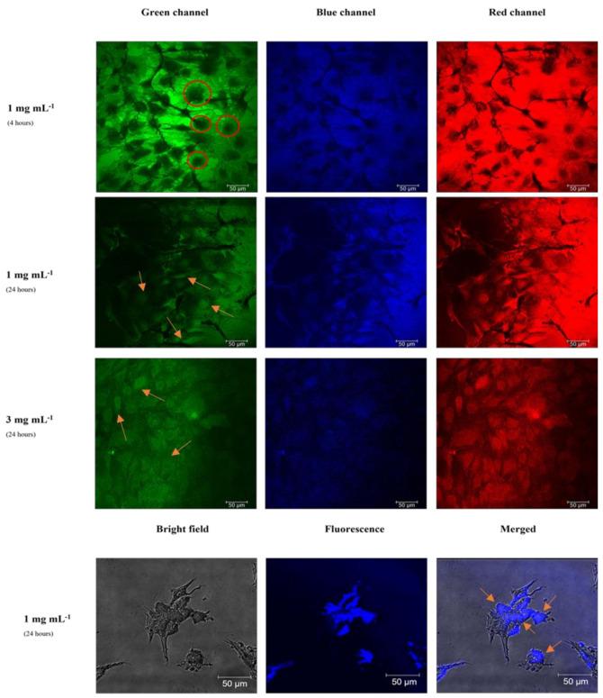 https://cdn.ncbi.nlm.nih.gov/pmc/blobs/f70c/9000082/617fe65ce5b8/materials-15-02395-g009.jpg