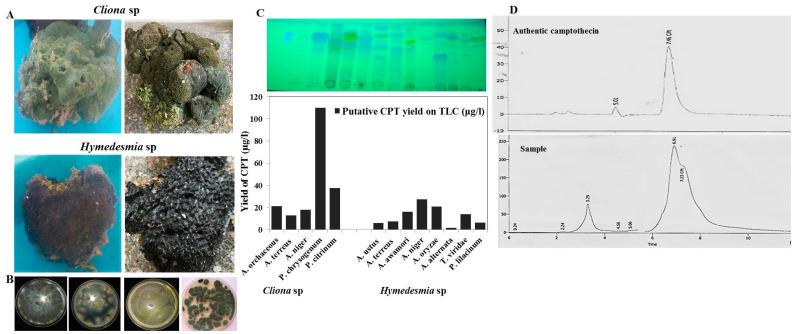 https://cdn.ncbi.nlm.nih.gov/pmc/blobs/f70c/9104752/0de51edb7130/molecules-27-03033-g001.jpg