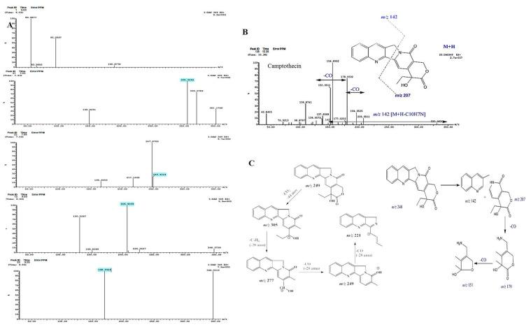 https://cdn.ncbi.nlm.nih.gov/pmc/blobs/f70c/9104752/1653520b4dca/molecules-27-03033-g004.jpg