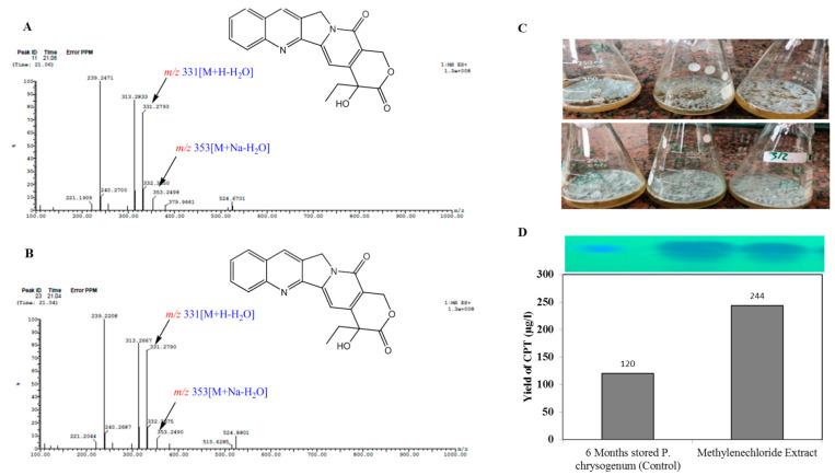 https://cdn.ncbi.nlm.nih.gov/pmc/blobs/f70c/9104752/e5ea0a7c2476/molecules-27-03033-g007.jpg
