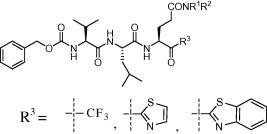 https://cdn.ncbi.nlm.nih.gov/pmc/blobs/f70d/7126350/6a30929ca48e/fx1.jpg