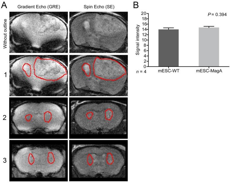 https://cdn.ncbi.nlm.nih.gov/pmc/blobs/f70e/4143941/53f7e28464d4/thnov04p0972g005.jpg