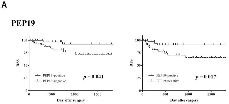 https://cdn.ncbi.nlm.nih.gov/pmc/blobs/f70e/8750196/a5db70e0247a/cancers-14-00054-g002a.jpg