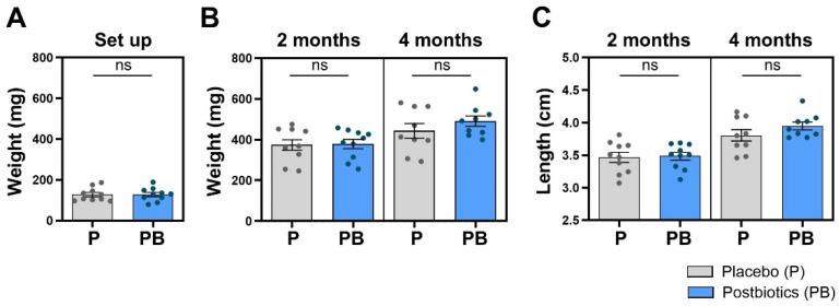 https://cdn.ncbi.nlm.nih.gov/pmc/blobs/f70f/11640140/cf27c39c15cf/cells-13-02006-g003.jpg